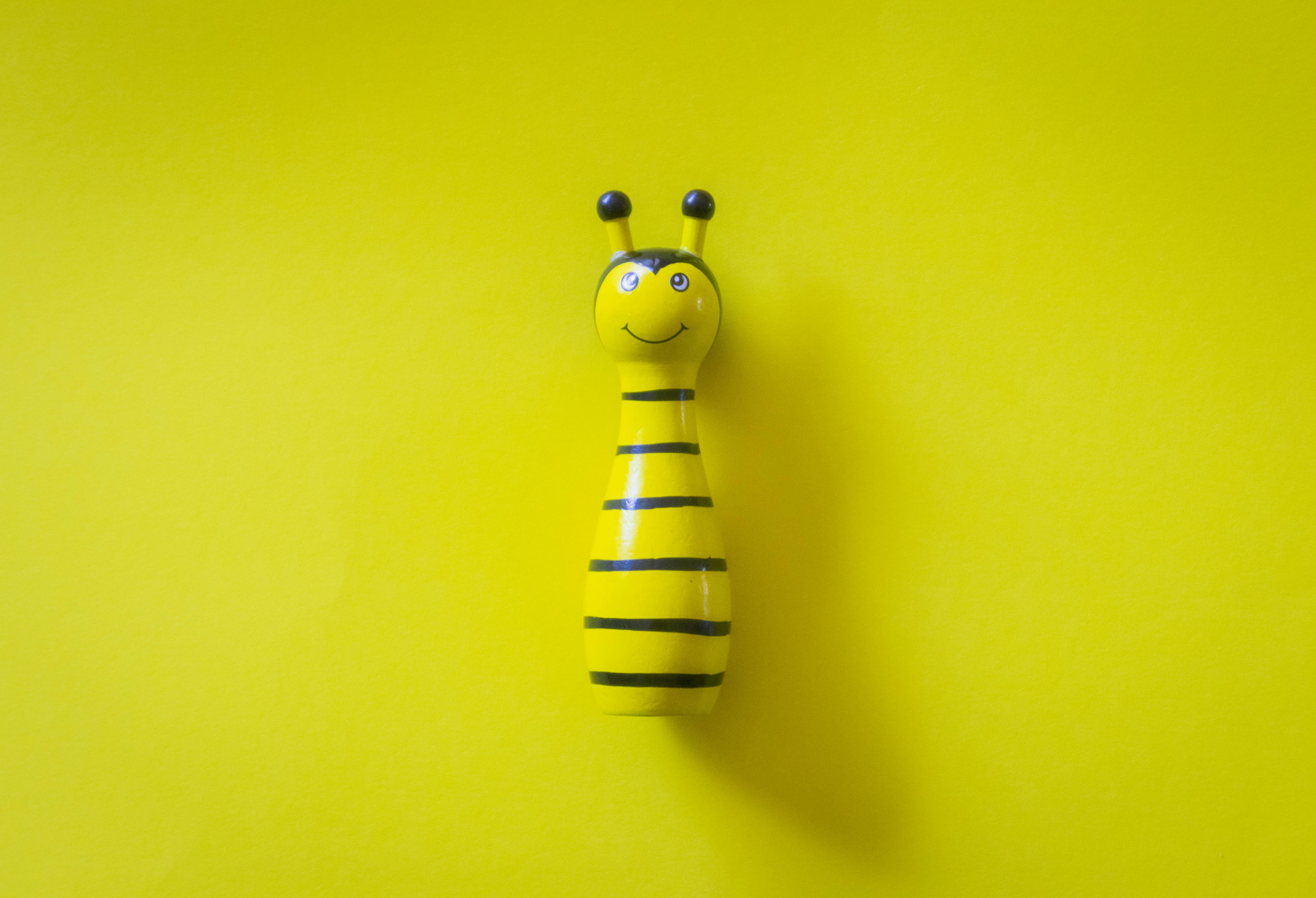 Understanding xBee: Everything You Need to Know